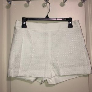 J. Crew Shorts